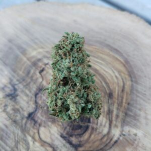 Photo macro d'une fleur issue de la variété Bubble Gum