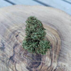 Photo macro d'une fleur issue de la variété Gandhi